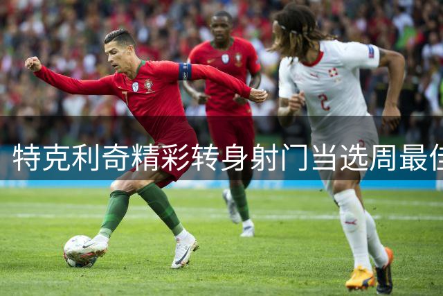 特克利奇精彩转身射门当选周最佳进球